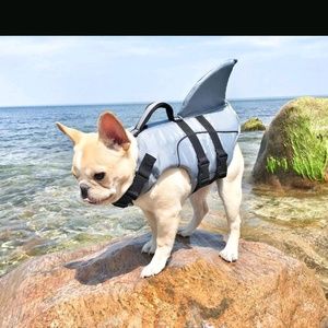 Meet your Posher, Cory